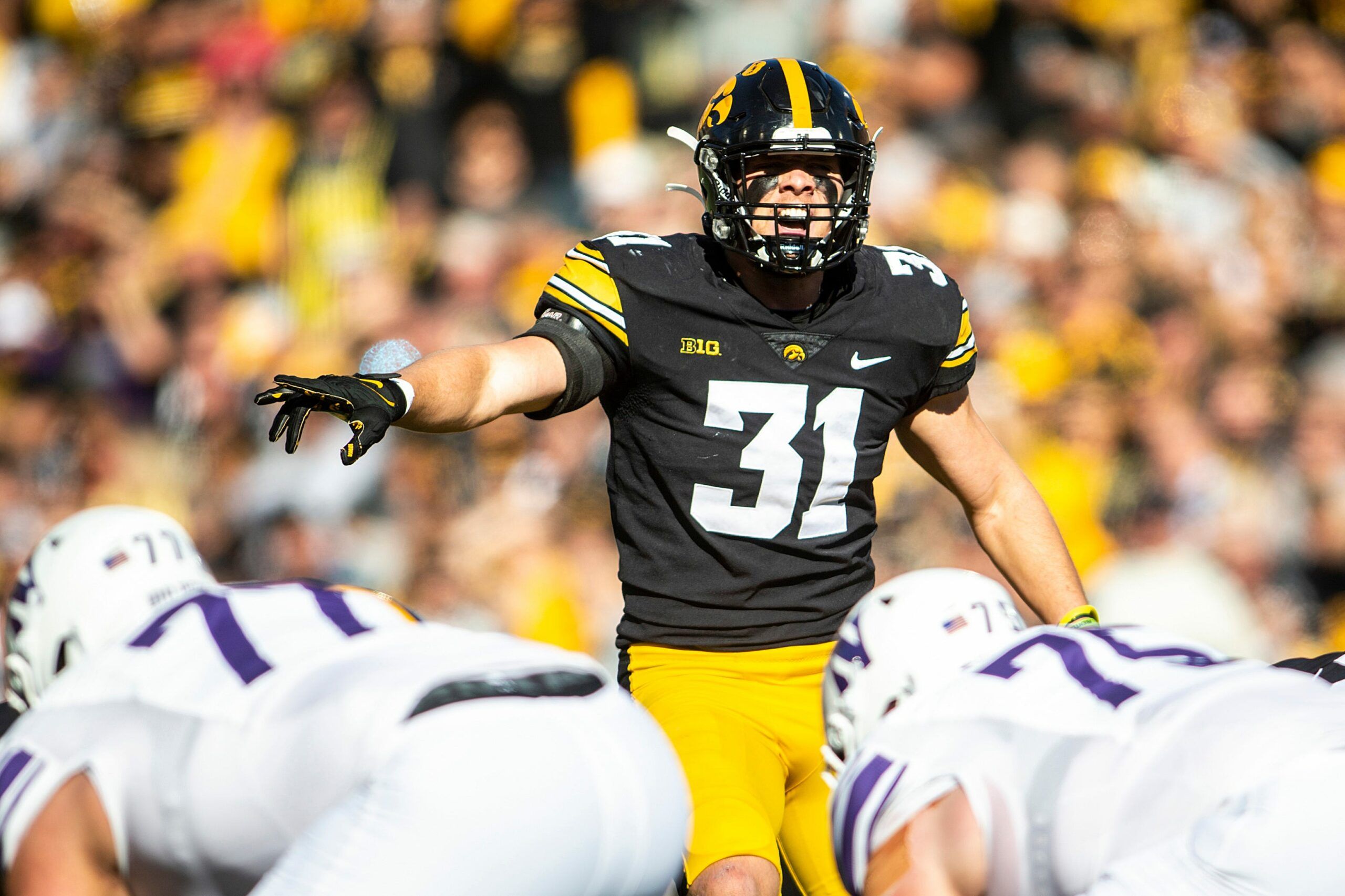 Colts represented at Iowa pro day