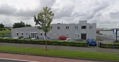 Popular Cork city veterinary hospital closing after 64 years with over 40 jobs lost