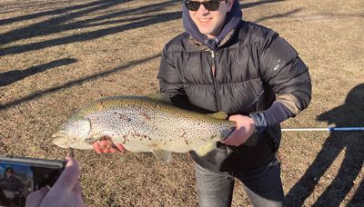 Midwest Fishing Report: Coho remains area’s most consistent fishing