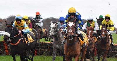 Newsboy's horse racing selections for three meetings, including Haydock Nap