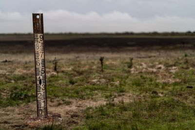 EU warns Spain over expanding irrigation near prized wetland