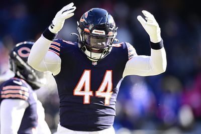 Browns sign former Bears LB Matthew Adams