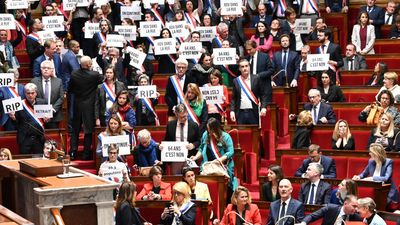 Protests, appeals, referendum: What’s next for France’s pension reform?