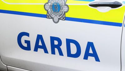 Teenager dies after being hit by lorry in Co Mayo