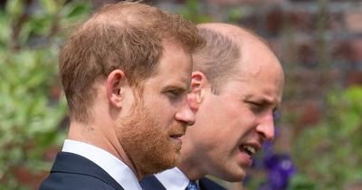 Prince Harry confronted William on 'sabotaging' Meghan plot