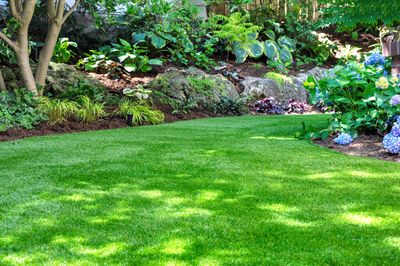 Should you mow wet grass? Experts explain the best time to cut your grass for a healthy backyard