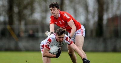 Gavin Devlin - 'You must see it through the lens of Louth and Louth supporters'