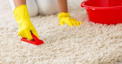 Cleaning fan hails 'amazing' product that removed two-year-old stain from carpet