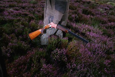 Grouse moors face licensing under Holyrood bill which aims to end raptor persecution