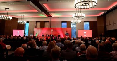 Rugby boss urges Wales' grassroots clubs to vote for change and insists their own funding will never be cut