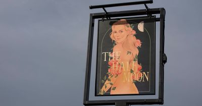 Charity pub sign features model Jodie Kidd - posing nude