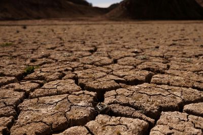 UN warns 'vampiric overconsumption' is draining world's water