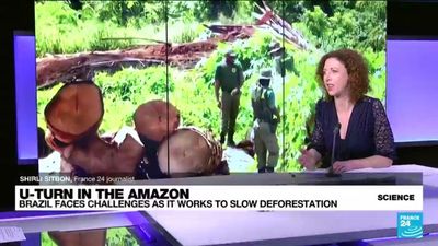 Brazil struggles to fight deforestation after Bolsonaro years