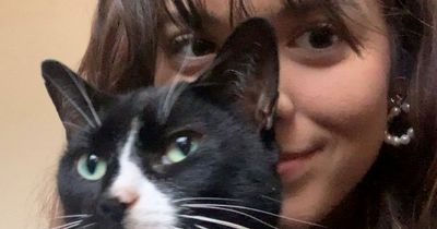 Heartbroken woman uses Tinder and Grindr to help search for her missing cat