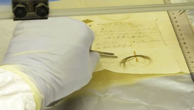 What made Beethoven sick? His hair DNA offers new clues