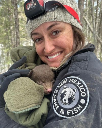 Bear hugs, anyone? New Mexico game and fish agency hiring for unusual job