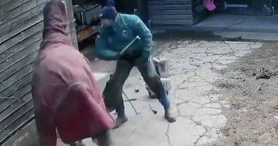 Farrier caught on camera beating horse 9 times with a hammer