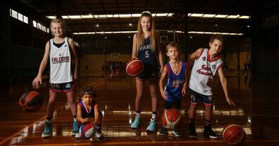 What does new basketball stadium plan mean for old Broadmeadow site?
