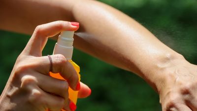 7 natural insect repellents for hiking and camping