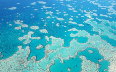 Study charts decade of loss on Australian reefs