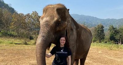 Edinburgh teacher in desperate plea to save abused Thai elephant