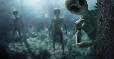 'Time traveller' claims hostile aliens will invade Earth tomorrow and abduct thousands