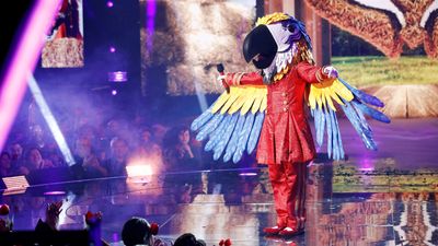 Who is Macaw on The Masked Singer US?