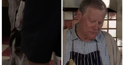 Corrie fans corrected as they ask same questions about Cerberus the dog death after Roy Cropper branded 'Britain's most wanted'