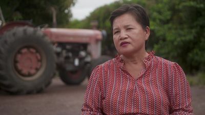 Cambodian refugee who escaped the Khmer Rouge regime with her family now runs prospering mango farm