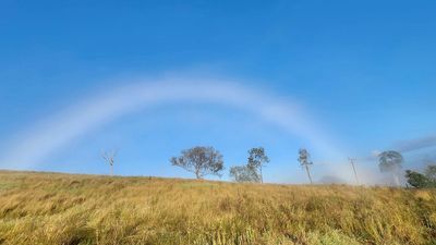 Why 'fogbows', ghostly white rainbows, are such a rare treat to spot in Australia