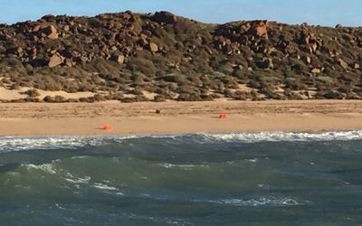 Man survives shark attack in WA