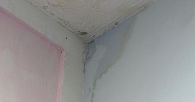 Nottingham City Homes denies responsibility for flat leaks as it forces entry into property