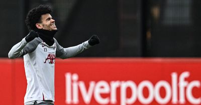 Diaz recovers, Salah and Van Dijk injured - Liverpool's best and worse-case international break