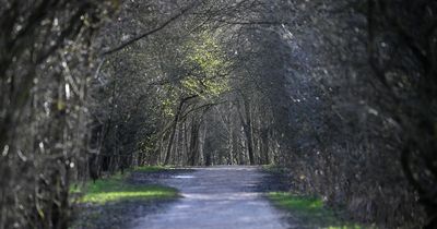 The Manchester park set to become the city's tenth nature reserve