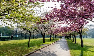 To Battersea Park by Philip Hensher review – a pandemic masterclass