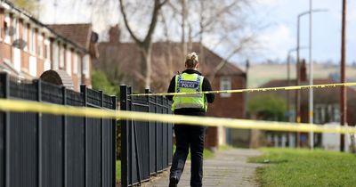 Police issue arrest update after three people left injured in stabbing
