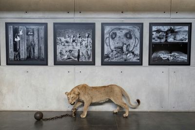 S.Africa art show highlights destructive ties between Man and Nature