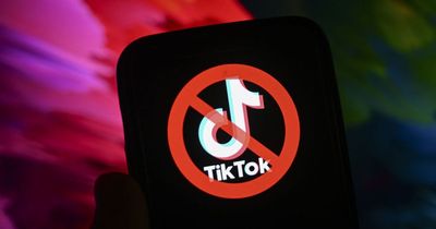 TikTok could be banned on Irish politicians' phones over security fears