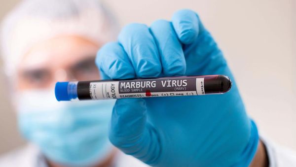 Equatorial Guinea confirms eight new cases of Marburg virus