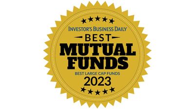 Best Mutual Funds Awards 2023: Best Large-Cap Stock Funds