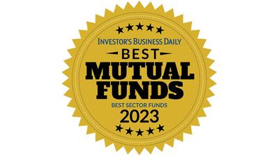 Best Mutual Funds Awards 2023: Best Sector Stock Funds