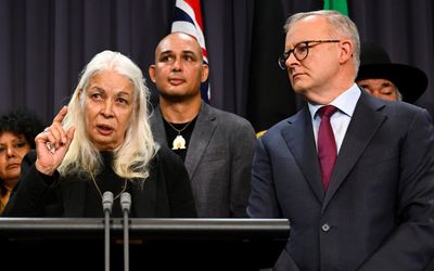 More than enough detail provided on voice: Albanese