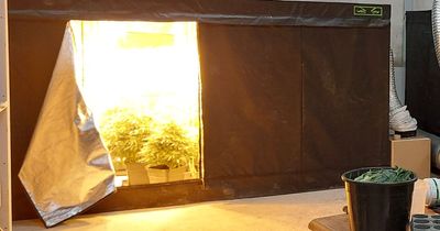 Man arrested after Scarva drugs find