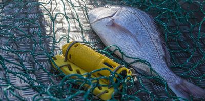 Fishing for data: commercial fishers help monitor rising temperatures in coastal seas