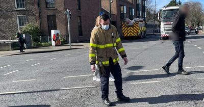 Dublin firefighters 'wing it' as they help mother duck and adorable ducklings cross busy road