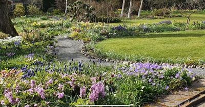 Kirkcudbright garden to open to the public to raise funds for charity