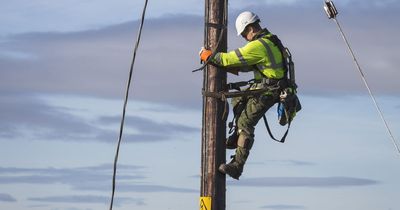 Nearly half of people don't know what number to call when there's a power cut