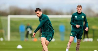 Ireland captain Seamus Coleman in fitness race for France game