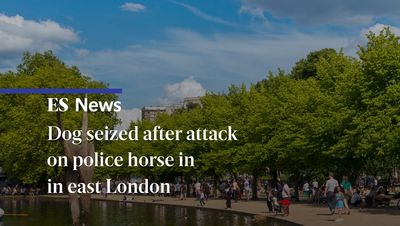 Dog which attacked police horse in east London could be put down, owner fears