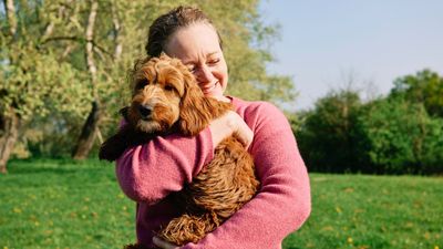 Four things that will improve your relationship with your dog, according to an expert trainer